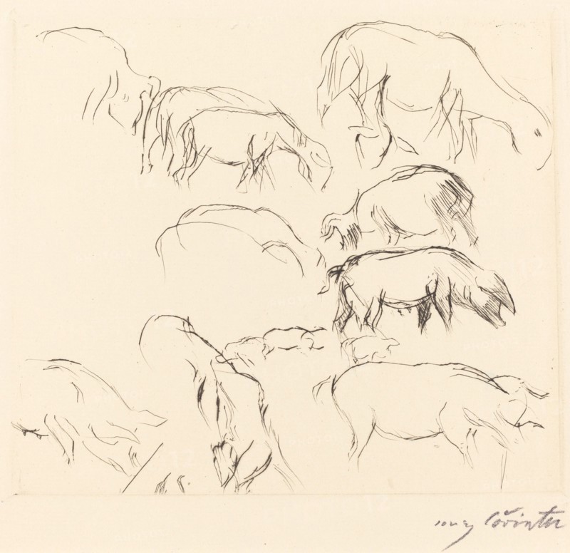 Verschiedene Tierstudien (Animal Studies), 1917.