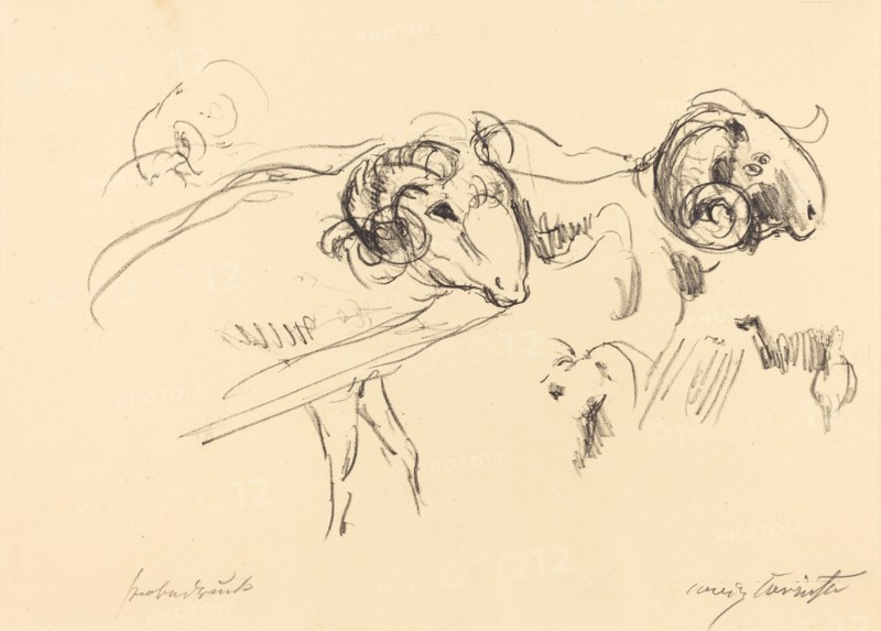 Schafböcke (Rams), 1912.