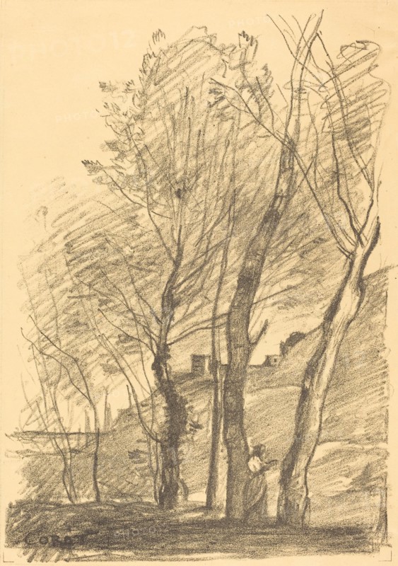 Reading Beneath the Trees (La Lecture sous les arbres), 1874.