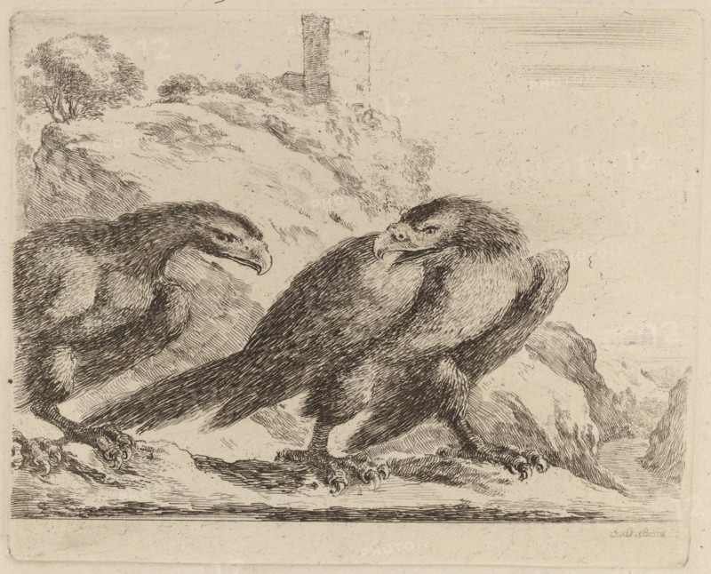 Two Eagles with Tower in Background.