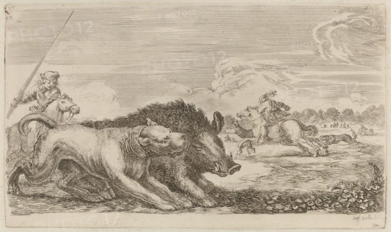 Boar Chased by a Dog.