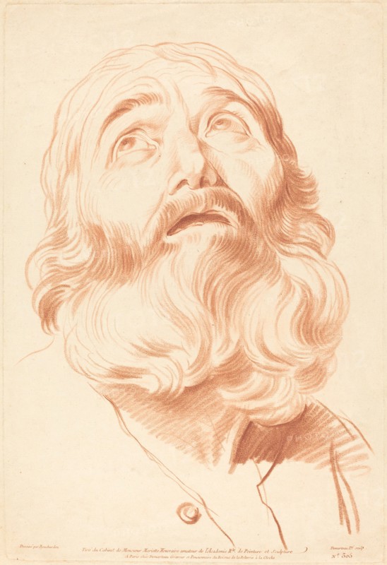 Head of a Man.