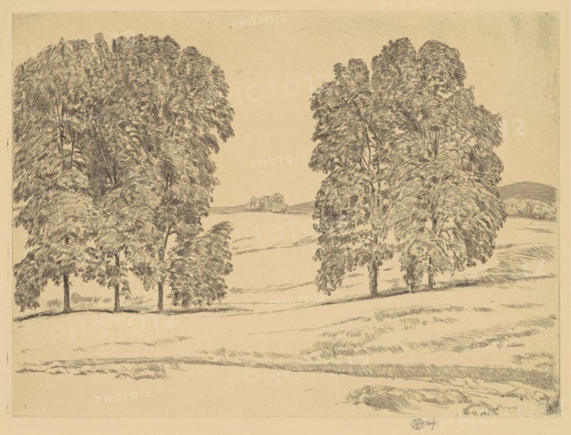 Hickories in a Hayfield, 1917.