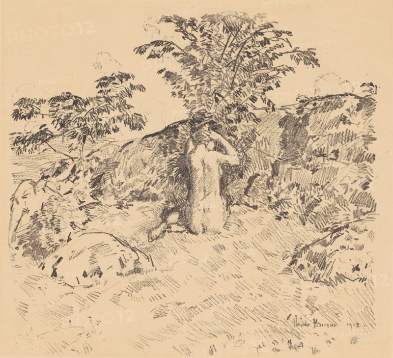 The Wild Cherry Tree, 1918.