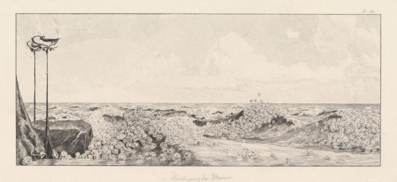 Homage (Huldigung), 1878/1880.