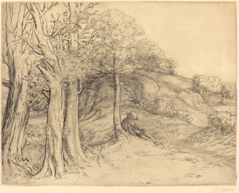 Solitude (Solitude (Paysage)).