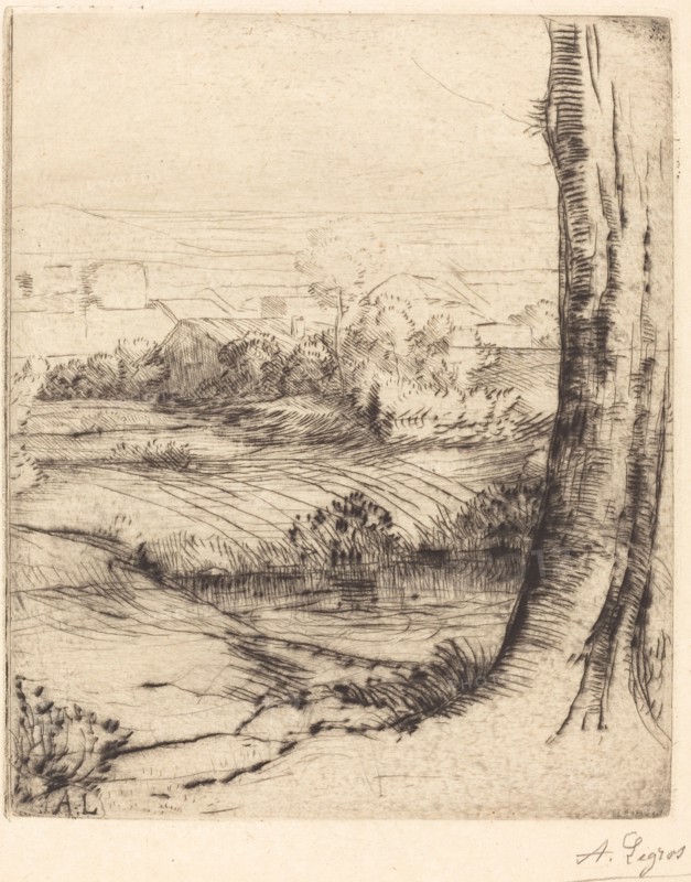 View of Reeds (Coin de roseau).