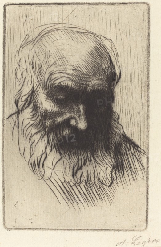 Head of an Old Man (Etude de tete).