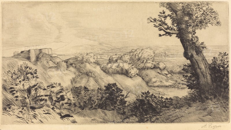 Top of the Hill (Le haut de la colline).