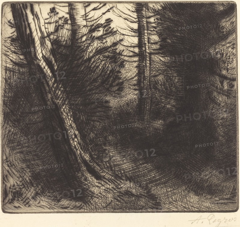 Path through the Woods (Sentier sous bois).