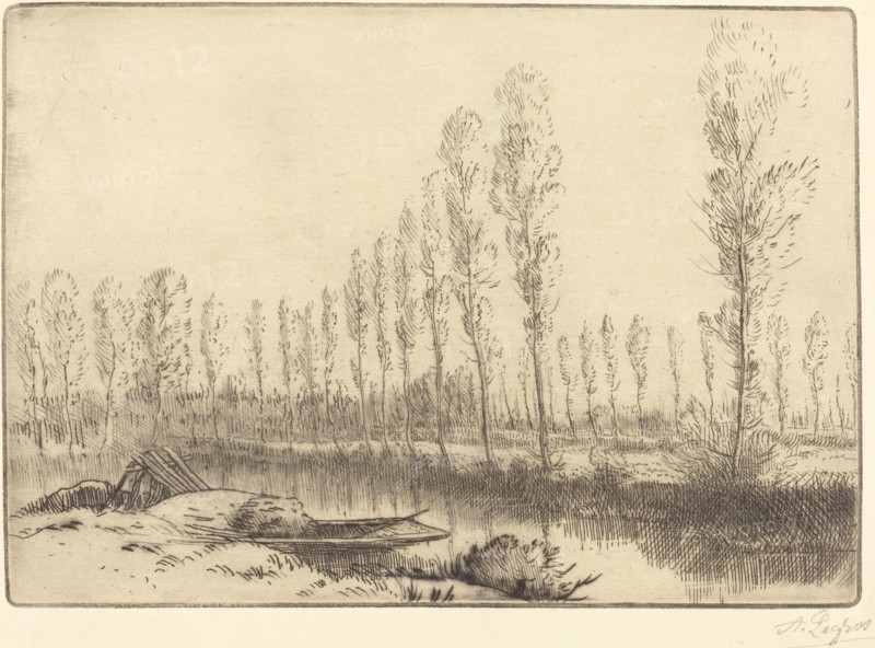 Poplars near Amiens (Pres d'Amiens, les tourbieres).