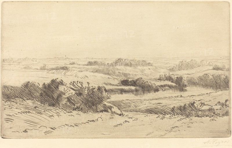 Banks of the Yanne (Les bords de la Yanne).