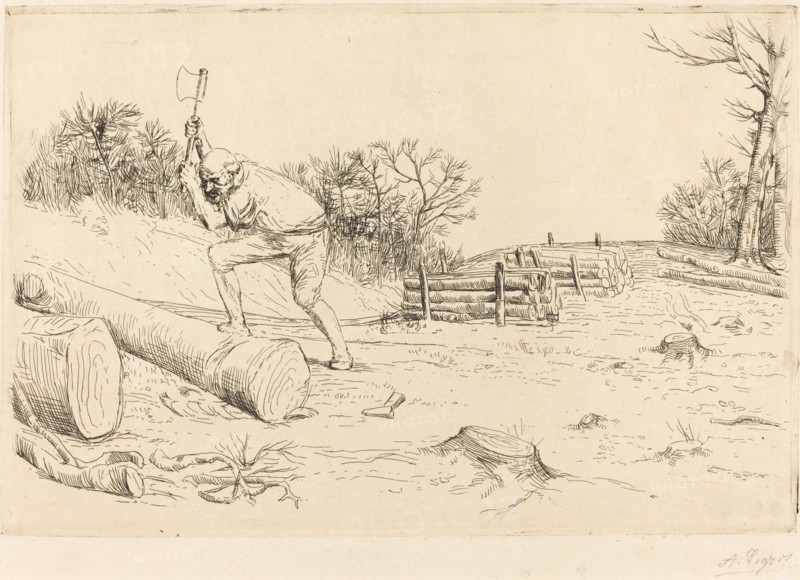 Woodcutter (Le bucheron).