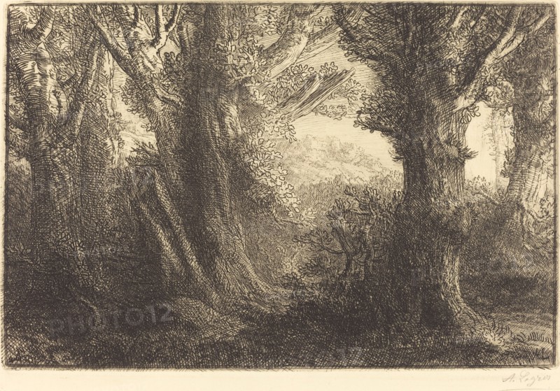 In the Forest of Conteville (Dans la foret de Conteville).
