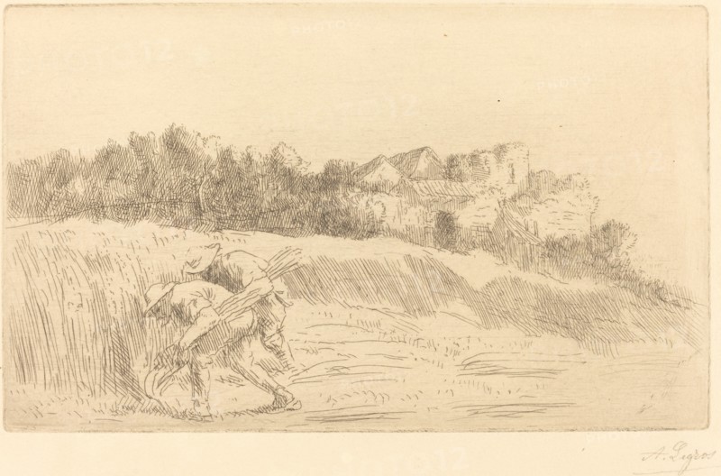 Harvesters (Les moissoneurs).