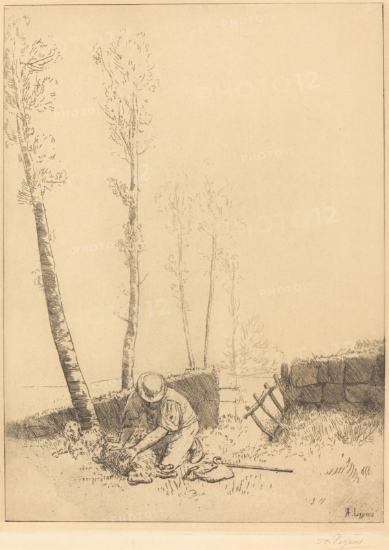 Finding the Sheep (Le mouton retrouve).