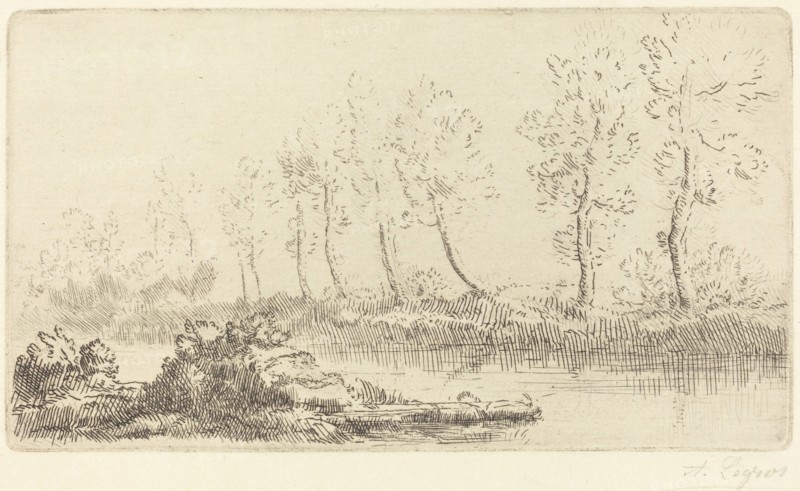 Banks of the Adour (Bord de l'Adour).