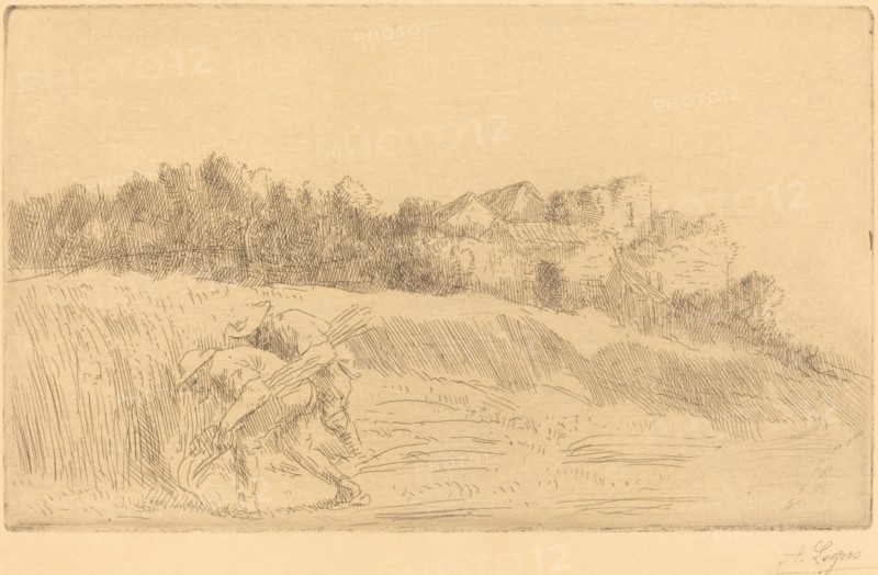 Harvesters (Les moissoneurs).