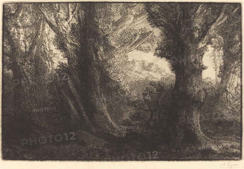 In the Forest of Conteville (Dans la foret de Conteville).