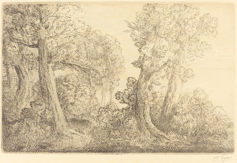 Near the Woods, Veronne (Pres du bois, Veronne).