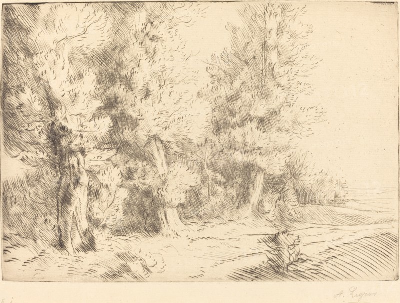 In the Forest of Fontainebleau (Dans la foret de Fontainebleau).