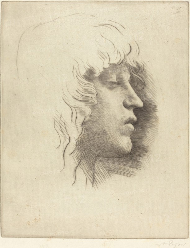 Head of a Young Girl (Tete de jeune fille).