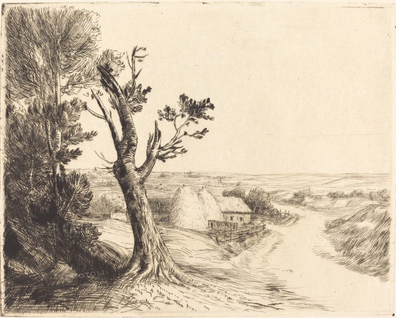 Landscape with Haystacks (Le paysage aux meules).