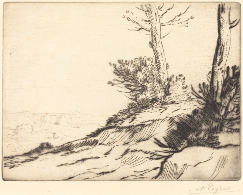 Hill with Bushes (La butte aux brousailles).