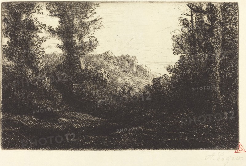 Edge of a Wood (Lisiere de bois).