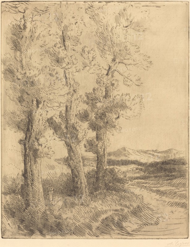 Woman Reading: Lesson under the Trees (La liseuse: La lecture sous les arbres).