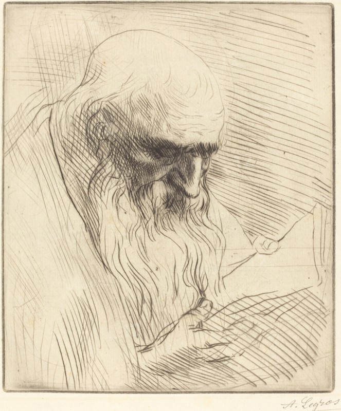 Study of the Head of a Man Reading (Etude de tete d'homme lisant).