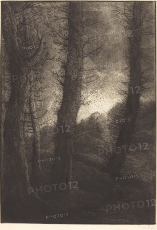 Large Trees Seen against the Sun (Les grandes arbres: Effet du soir).
