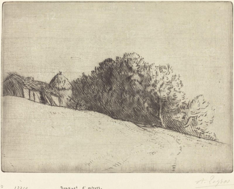 Stand of Trees (Bouquet d'arbres).