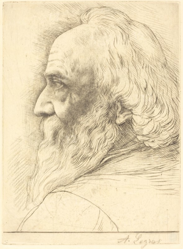 Self-Portrait, 12th plate.
