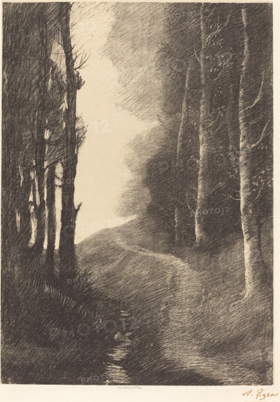Landscape with Birch Trees (Le paysage aux bouleaux).