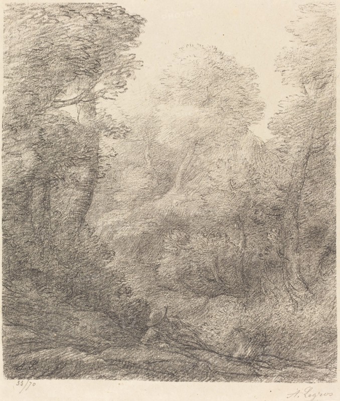 Landscape: Morning Mist (Paysage: Brumes du matin).