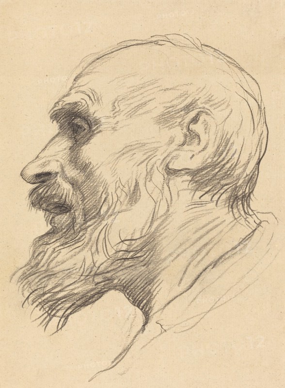Head of an Old Man.