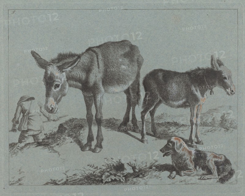Donkey with her Foal, a Dog, and a Peasant Man, 1762/1763.
