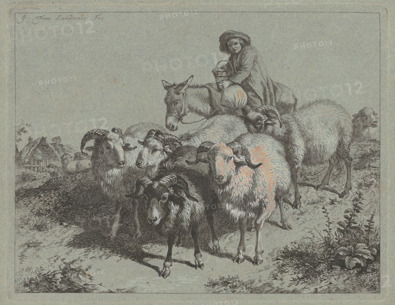 Boy on a Donkey Driving a Flock, 1763.