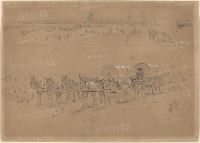 Supply Train, 1864.