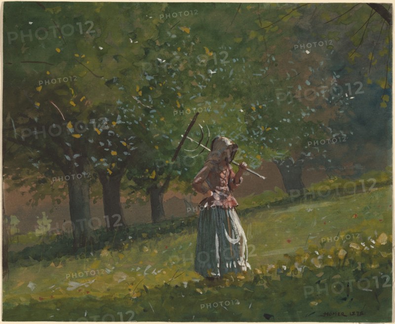 Girl with Hay Rake, 1878.