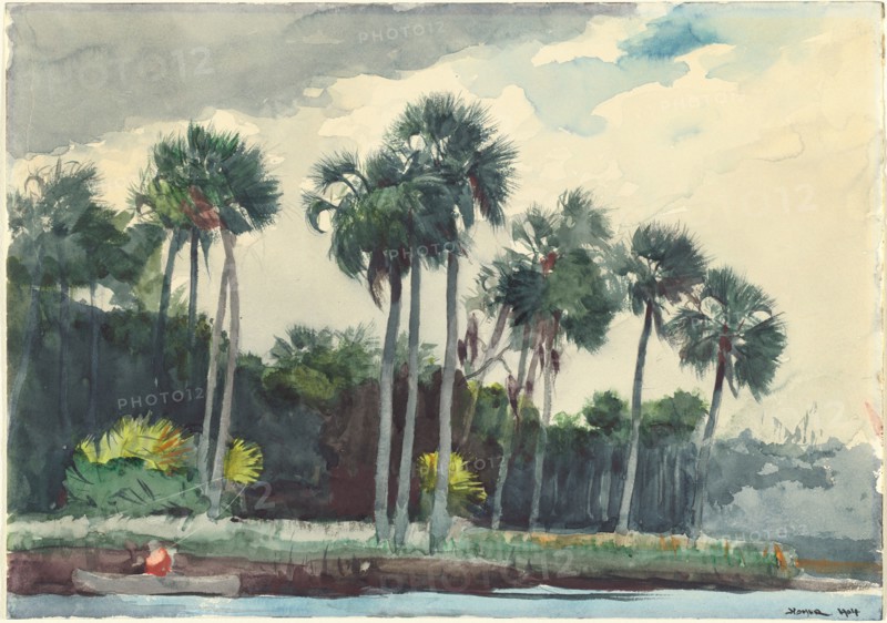 Red Shirt, Homosassa, Florida, 1904.
