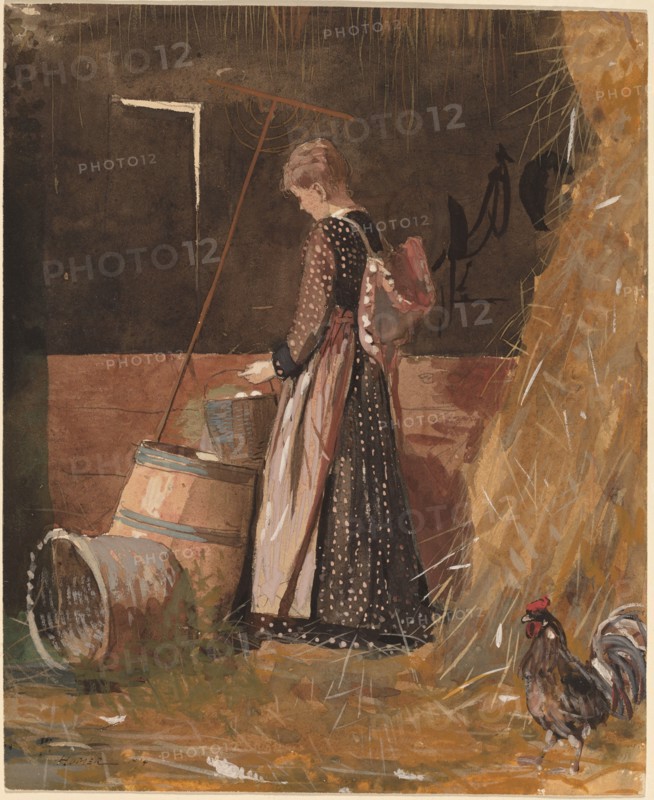 Fresh Eggs, 1874.
