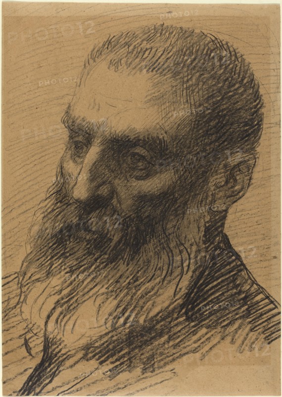 Head of a Man Facing Left.