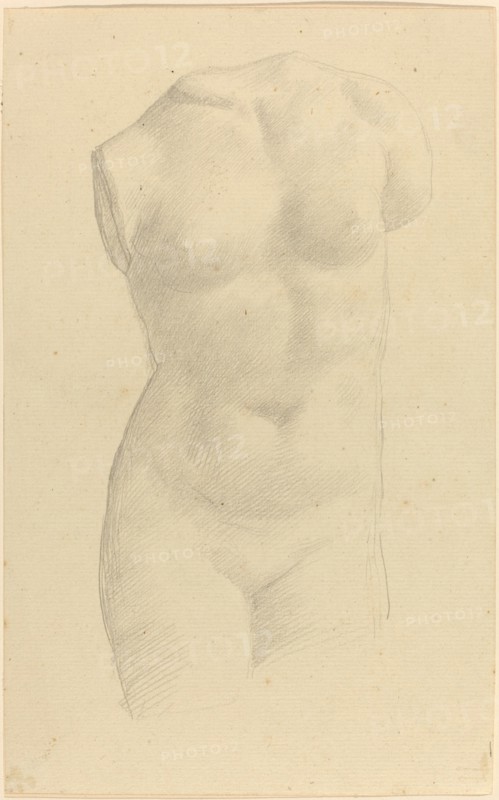 Torso.