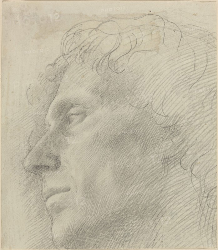 Head of a Man Facing Left.