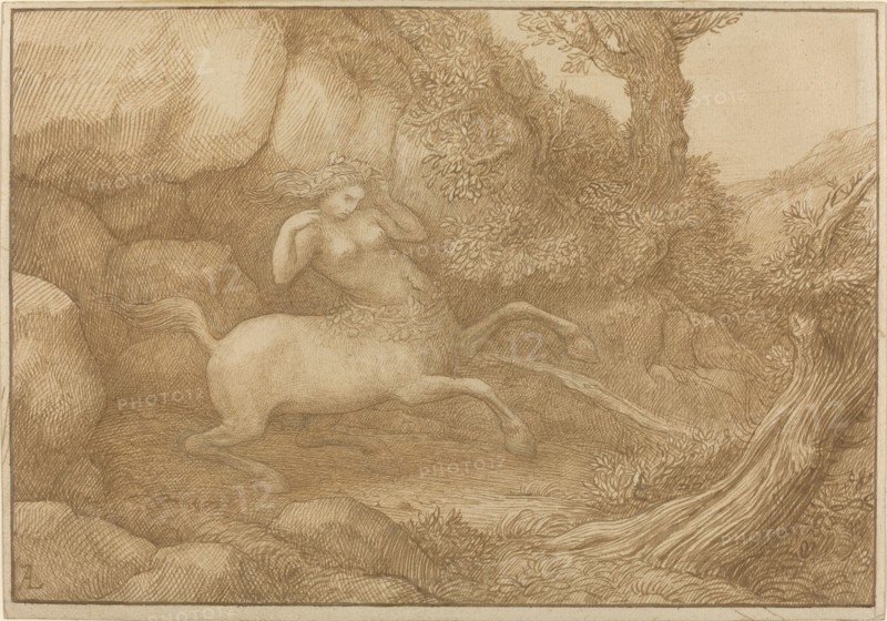 Centaur Woman.