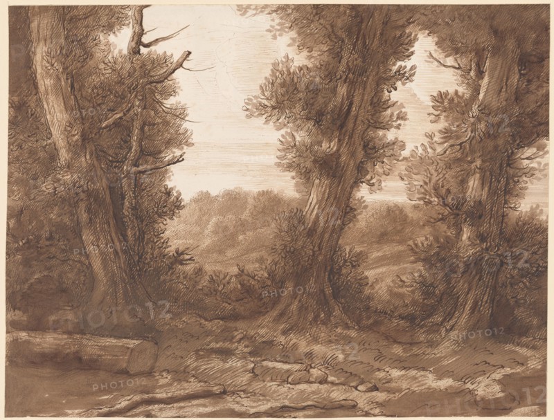 The Big Trees.