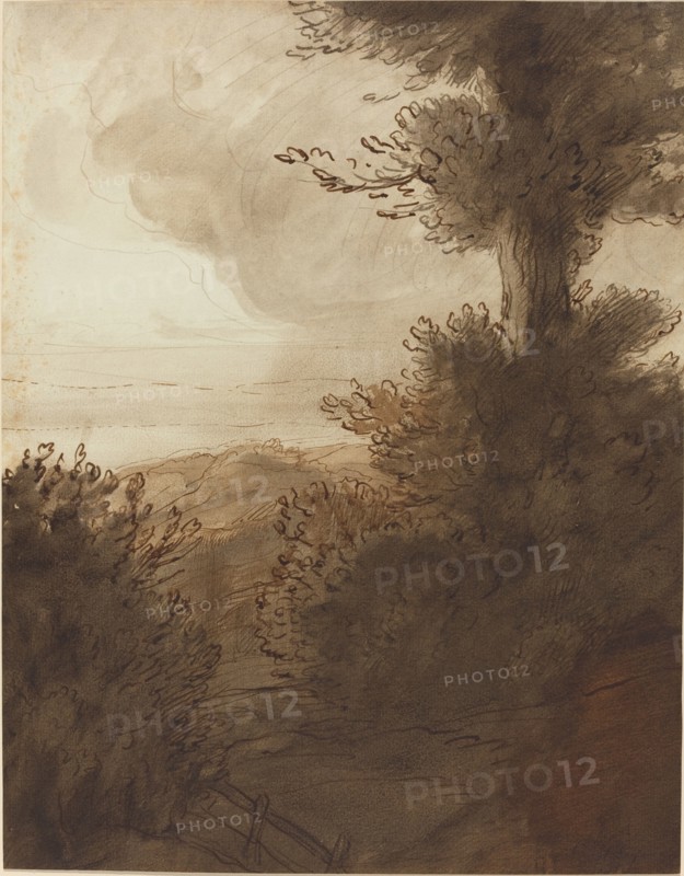 The Big Tree.