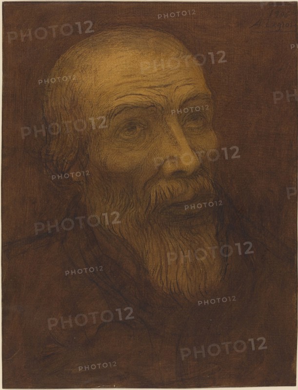 Head of a Bald Man with a Beard, 1906.